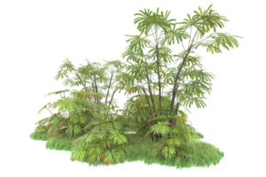 forêt réaliste isolée sur fond transparent. rendu 3d - illustration png