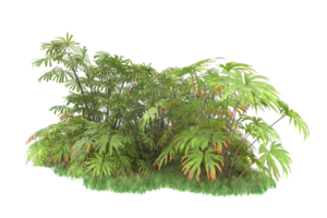 Realistic forest isolated on transparent background. 3d rendering - illustration png