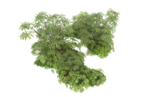 forêt réaliste isolée sur fond transparent. rendu 3d - illustration png