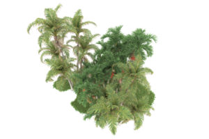 forêt réaliste isolée sur fond transparent. rendu 3d - illustration png