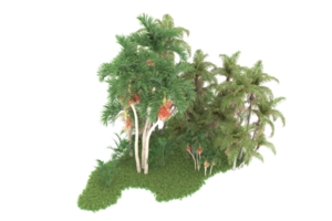 Realistic forest isolated on transparent background. 3d rendering - illustration png