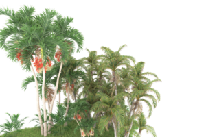 realistico foresta isolato su trasparente sfondo. 3d interpretazione - illustrazione png