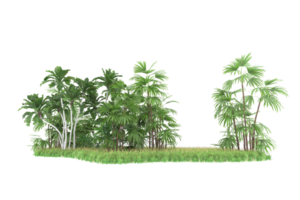 Realistic forest isolated on transparent background. 3d rendering - illustration png