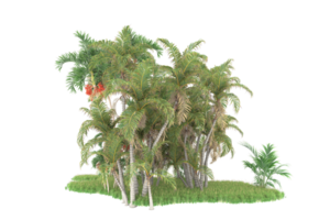 forêt réaliste isolée sur fond transparent. rendu 3d - illustration png