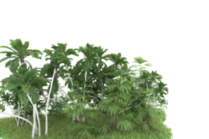 Realistic forest isolated on transparent background. 3d rendering - illustration png