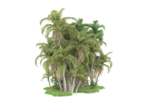 realistico foresta isolato su trasparente sfondo. 3d interpretazione - illustrazione png