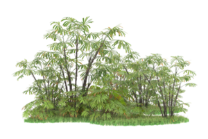 Realistic forest isolated on transparent background. 3d rendering - illustration png