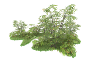 forêt réaliste isolée sur fond transparent. rendu 3d - illustration png