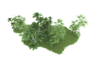 Realistic forest isolated on transparent background. 3d rendering - illustration png