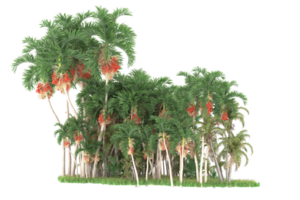 forêt réaliste isolée sur fond transparent. rendu 3d - illustration png