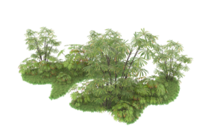 Realistic forest isolated on transparent background. 3d rendering - illustration png