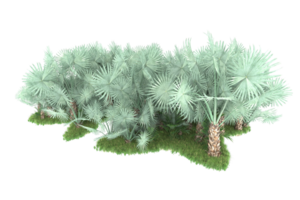 Realistic forest isolated on transparent background. 3d rendering - illustration png