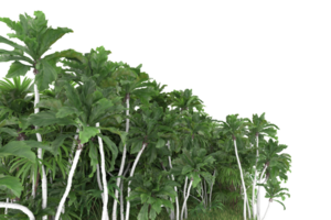 Realistic forest isolated on transparent background. 3d rendering - illustration png