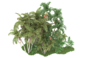 realistico foresta isolato su trasparente sfondo. 3d interpretazione - illustrazione png