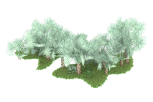 Realistic forest isolated on transparent background. 3d rendering - illustration png