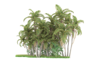 Realistic forest isolated on transparent background. 3d rendering - illustration png