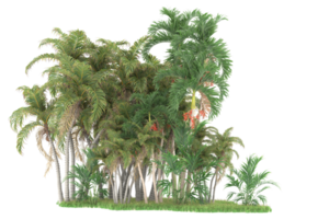 Realistic forest isolated on transparent background. 3d rendering - illustration png