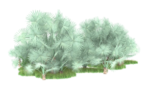 Realistic forest isolated on transparent background. 3d rendering - illustration png