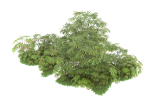 forêt réaliste isolée sur fond transparent. rendu 3d - illustration png