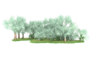 Realistic forest isolated on transparent background. 3d rendering - illustration png