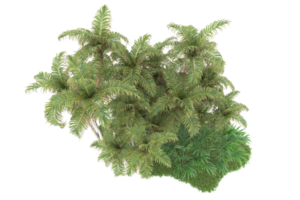 Realistic forest isolated on transparent background. 3d rendering - illustration png