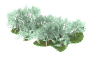 Realistic forest isolated on transparent background. 3d rendering - illustration png