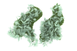 Realistic forest isolated on transparent background. 3d rendering - illustration png