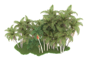 Realistic forest isolated on transparent background. 3d rendering - illustration png