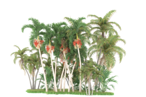 Realistic forest isolated on transparent background. 3d rendering - illustration png