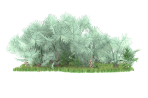 Realistic forest isolated on transparent background. 3d rendering - illustration png