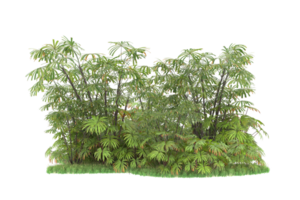 forêt réaliste isolée sur fond transparent. rendu 3d - illustration png