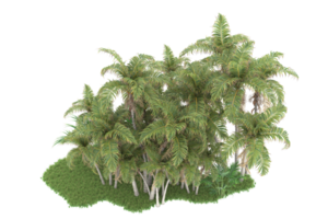 Realistic forest isolated on transparent background. 3d rendering - illustration png