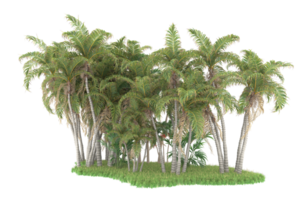 Realistic forest isolated on transparent background. 3d rendering - illustration png
