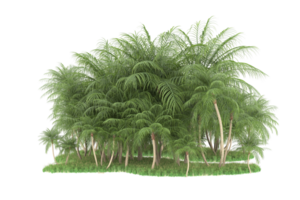 forêt réaliste isolée sur fond transparent. rendu 3d - illustration png