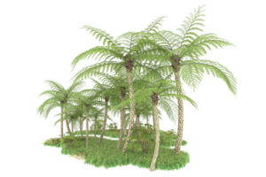 Realistic forest isolated on transparent background. 3d rendering - illustration png