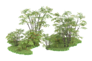 Realistic forest isolated on transparent background. 3d rendering - illustration png