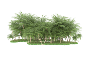 Realistic forest isolated on transparent background. 3d rendering - illustration png