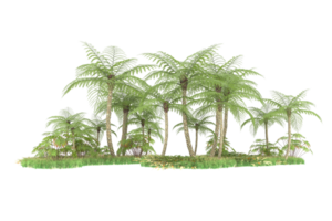 Realistic forest isolated on transparent background. 3d rendering - illustration png