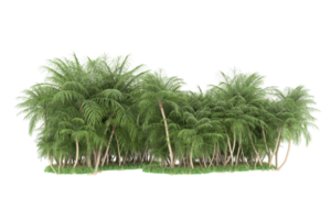 Realistic forest isolated on transparent background. 3d rendering - illustration png