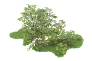 Realistic forest isolated on transparent background. 3d rendering - illustration png