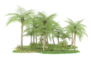 Realistic forest isolated on transparent background. 3d rendering - illustration png