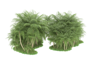 forêt réaliste isolée sur fond transparent. rendu 3d - illustration png