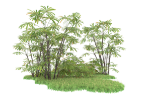 Realistic forest isolated on transparent background. 3d rendering - illustration png