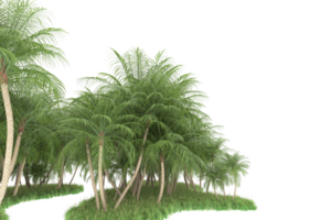 forêt réaliste isolée sur fond transparent. rendu 3d - illustration png