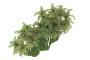 Realistic forest isolated on transparent background. 3d rendering - illustration png