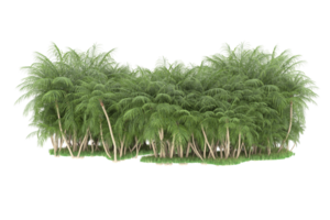 Realistic forest isolated on transparent background. 3d rendering - illustration png