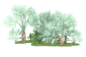 Realistic forest isolated on transparent background. 3d rendering - illustration png