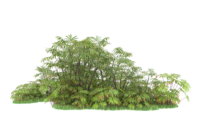 Realistic forest isolated on transparent background. 3d rendering - illustration png