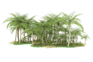 forêt réaliste isolée sur fond transparent. rendu 3d - illustration png