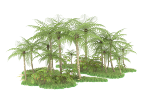 Realistic forest isolated on transparent background. 3d rendering - illustration png